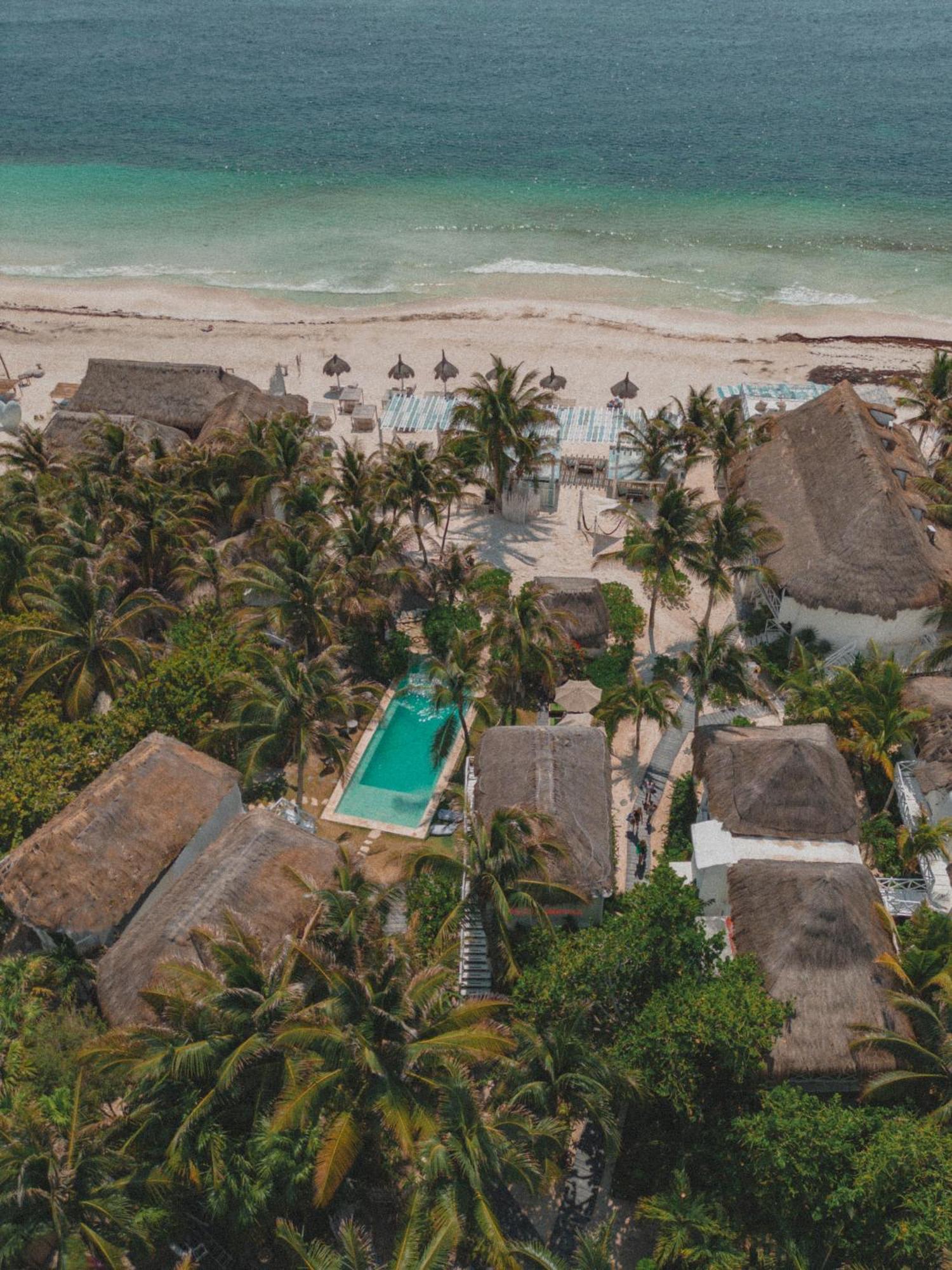 Coco Unlimited Hotel Tulum Exterior photo