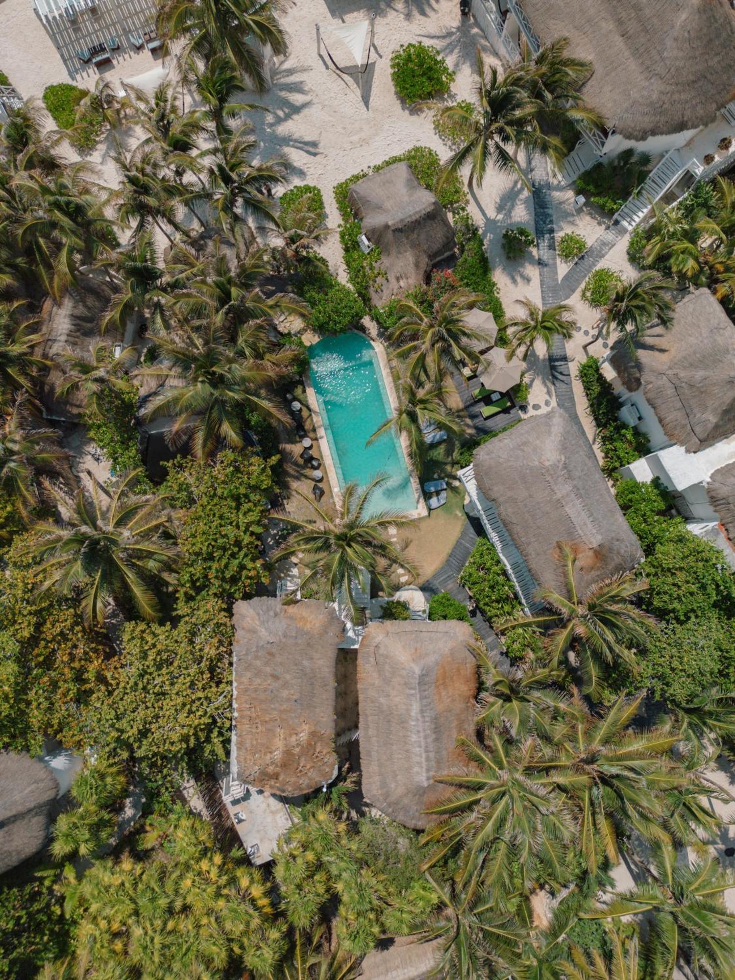 Coco Unlimited Hotel Tulum Exterior photo